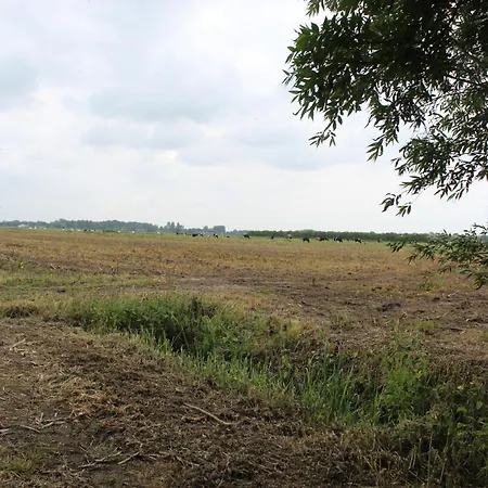 Olivian * Schoonrewoerd