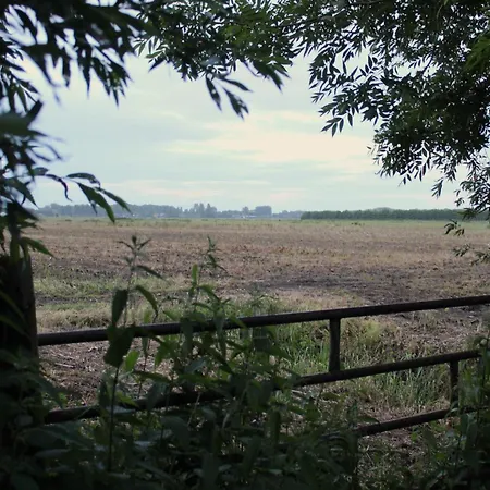 Glamping Olivian Schoonrewoerd