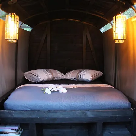 Olivian Luxury tent *