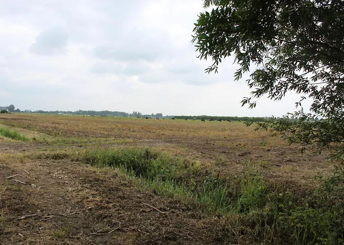 Olivian * Schoonrewoerd