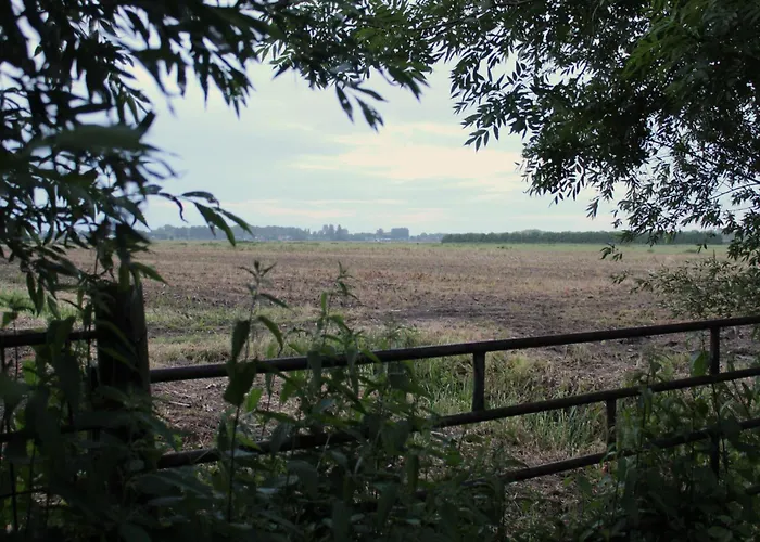 ラグジュアリーテント Olivian Schoonrewoerd