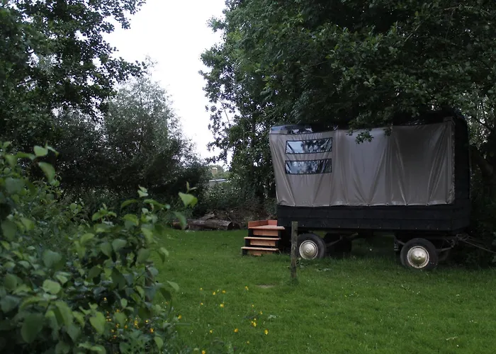 Olivian Schoonrewoerd