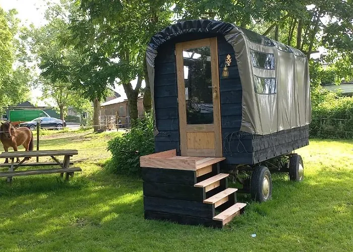 Olivian 럭셔리텐트 *